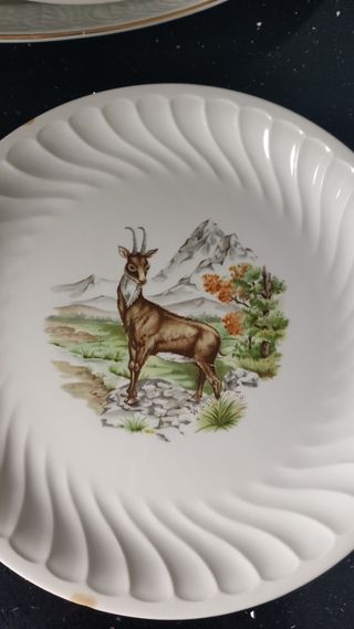 Bandeja muy grande 17euros, platos a 6 euros cada