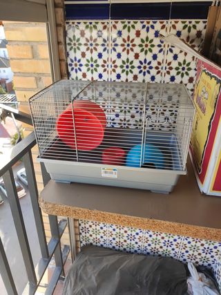 Jaula Hámster, accesorios y comida