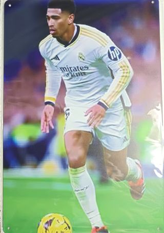 CARTEL METÁLICO N 300