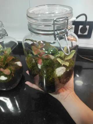 Jardín eterno/ Terrario