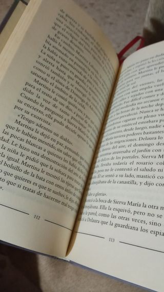 Del Amor y Otros Demonios