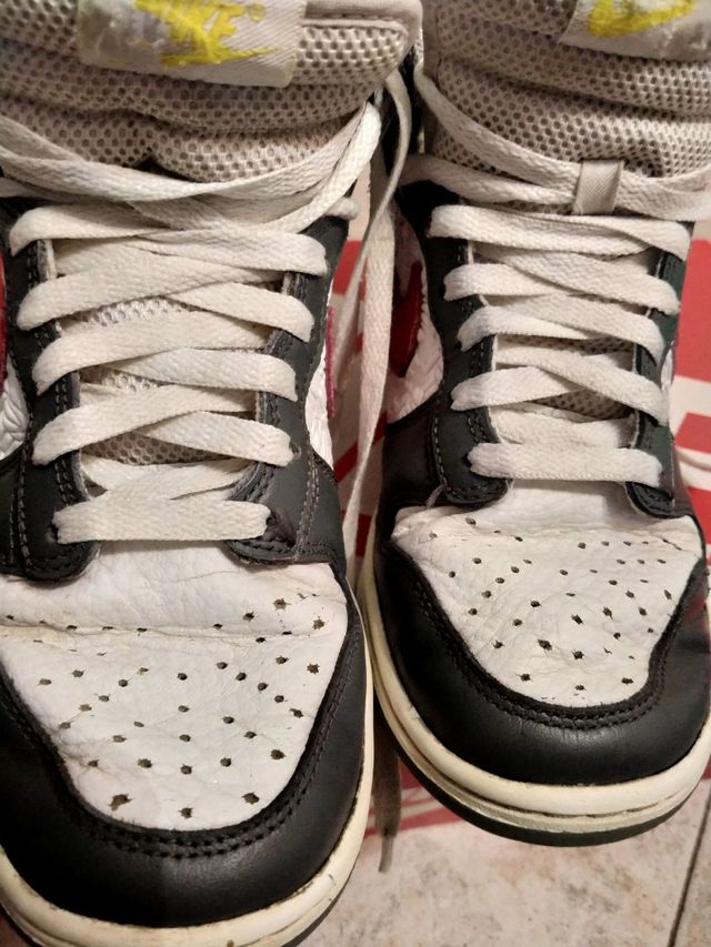 Nike Dunk High Retro 36