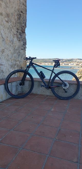 Bicicleta de montaña orbea onna 20 29"