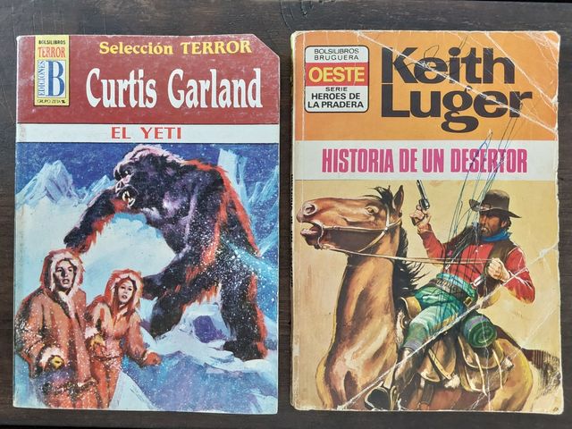 Dos bolsilibros novelas bolsillo