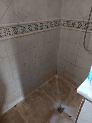 Limpieza de hogar, cuidados de ancianos y niños