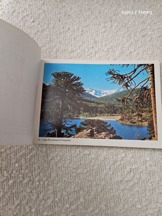 Postales Lagos y Parques del Sur