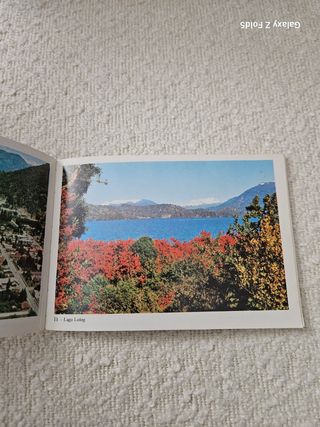 Postales Lagos y Parques del Sur