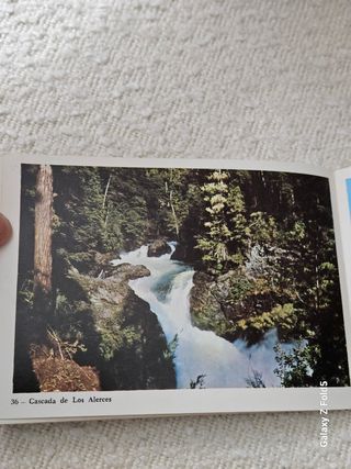 Postales Lagos y Parques del Sur