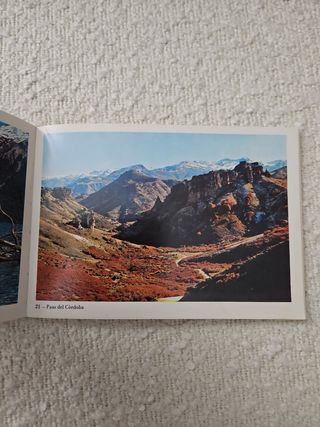 Postales Lagos y Parques del Sur