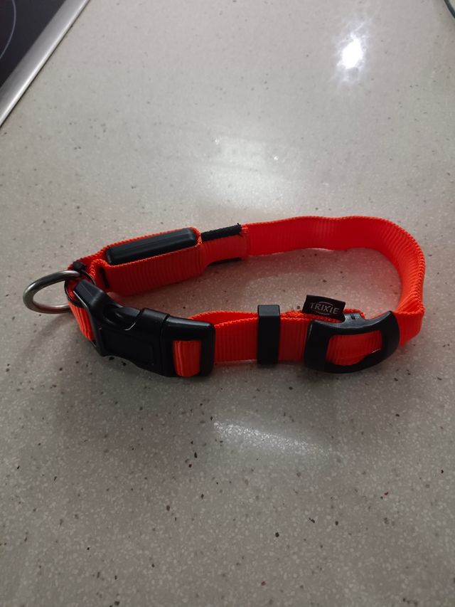 COLLAR DE LUCES PERRO NUEVO.