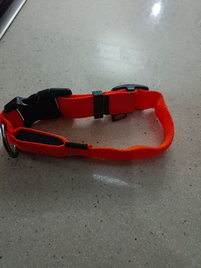COLLAR DE LUCES PERRO NUEVO.