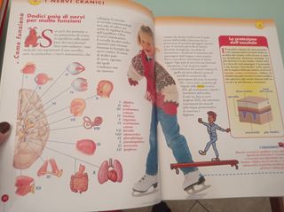 Il grande libro del corpo umano