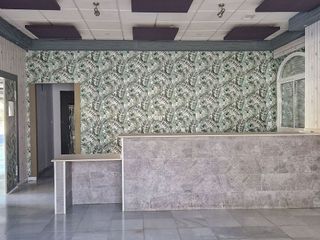 Local comercial en alquiler en Olivares