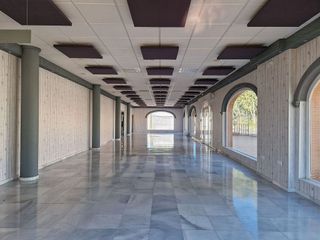Local comercial en alquiler en Olivares