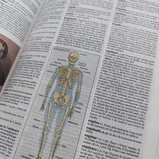 Diccionario enciclopédico