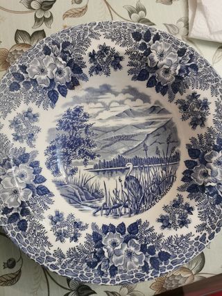 Vajilla porcelana Inglesa 