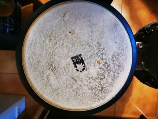 Toca Player'S Congas