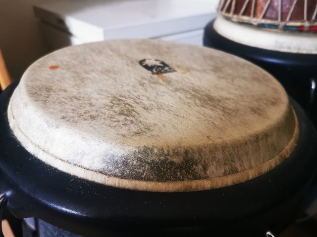 Toca Player'S Congas