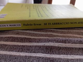 Se ti abbraccio non aver paura