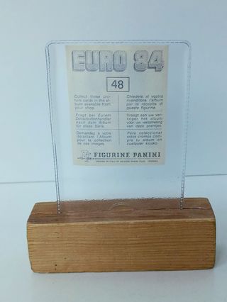 MICHEL PLATINI 48 EURO 84 SIN PEGAR