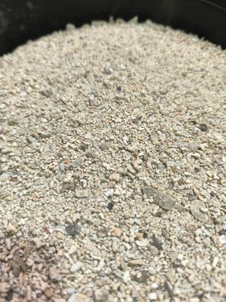 acuario marino arena