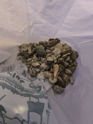 acuario marino arena