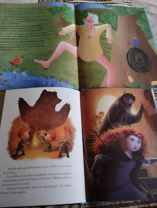 Libro Don Quijote y Brave.