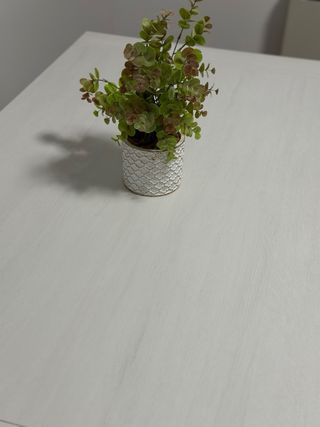 Mesa de Comedor grande y extensible 
