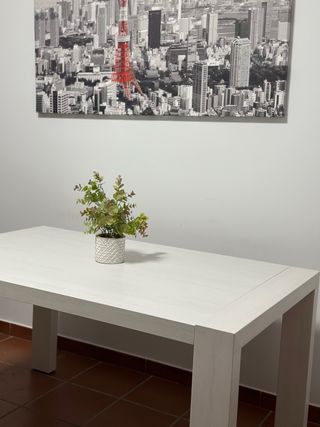Mesa de Comedor grande y extensible 
