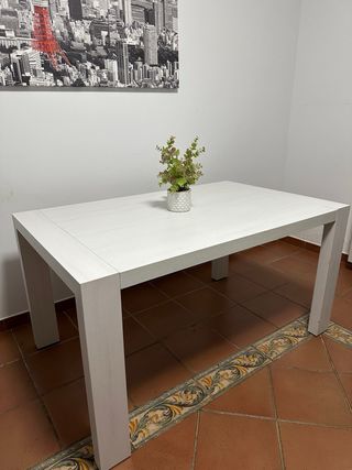 Mesa de Comedor grande y extensible 