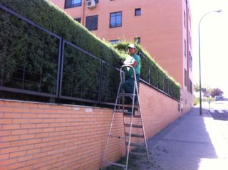 Jardinero ,en Aravaca i alrededores !