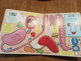 El cuerpo humano (Spanish Edition)