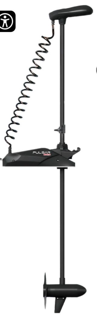 Motor Haswing 120 lbs 36v