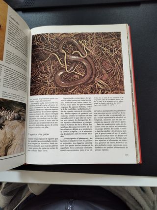 Enciclopedia del Reino Animal. Susaeta