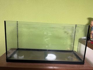 Pecera 50L con depuradora y otros accesorios 