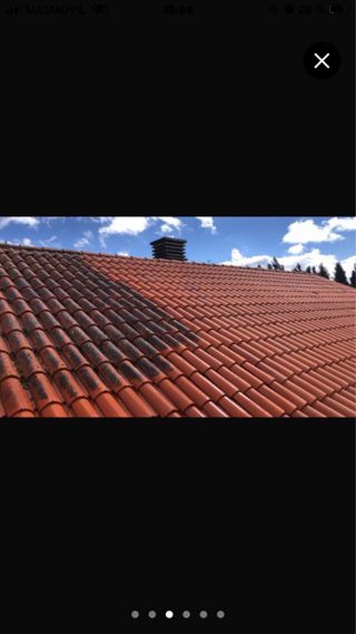 Pintor de viviendas limpieza de tejados varios