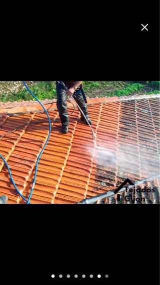 Pintor de viviendas limpieza de tejados varios
