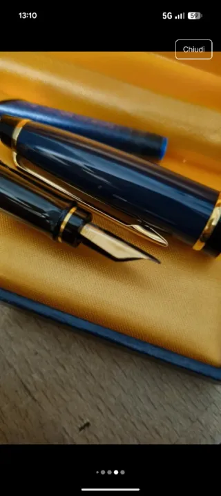 Penna stilografica waterman paris