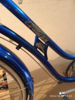 Bicicleta BH Especial Dama-años 60