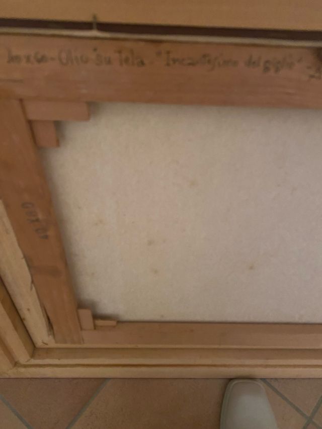 Olio su tela del pittore Maggiora Vergano