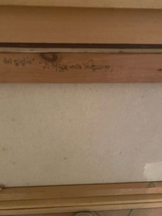 Olio su tela del pittore Maggiora Vergano