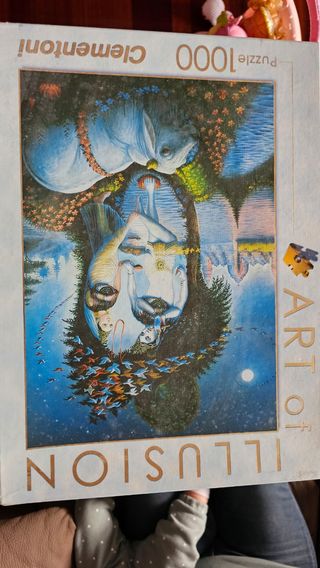 6 Puzzles de 1000 piezas