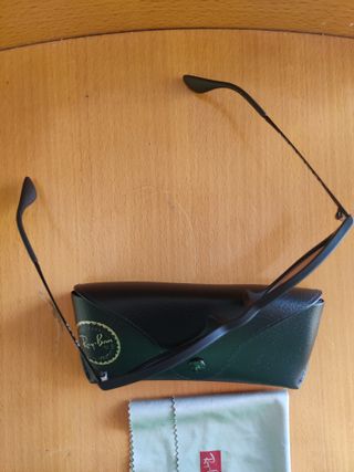 Ray Ban Erika Classic