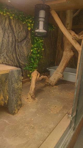 TERRARIO XXL DE MADERA