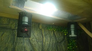 TERRARIO XXL DE MADERA