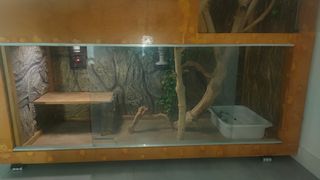 TERRARIO XXL DE MADERA