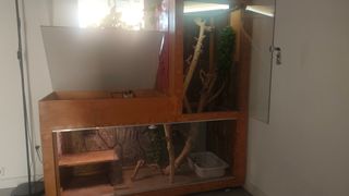 TERRARIO XXL DE MADERA