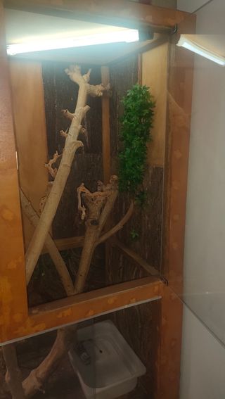 TERRARIO XXL DE MADERA