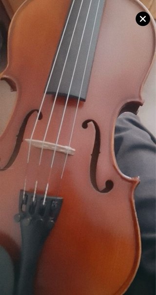 Violin 3/4 Antic Luther