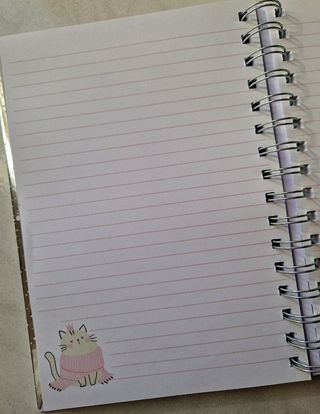 Quaderno a righe ad anelli gattino